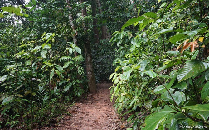 Dairy Farm Loop path