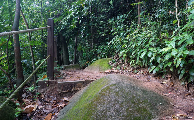 Dairy Farm Loop: Stairway To The Summit Or Devil's Stairs? 6 Walking along the Dairy Farm Loop