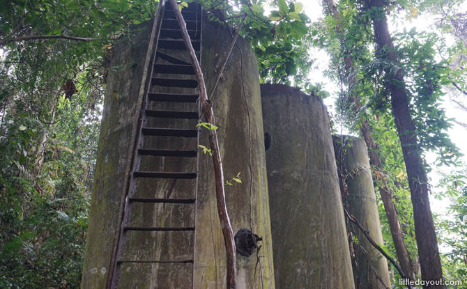 Dairy Farm Loop: Stairway To The Summit Or Devil's Stairs? 4 Old tanks on the Dairy Farm Loop