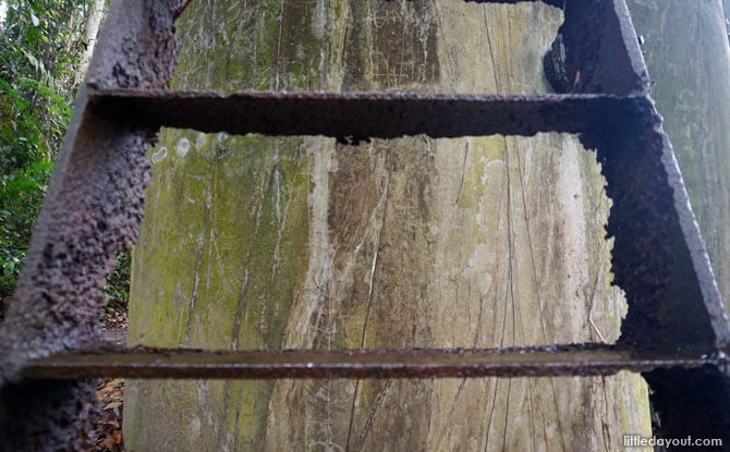 Dairy Farm Loop: Stairway To The Summit Or Devil's Stairs? 5 Don't even think of climbing the crumbling ladder