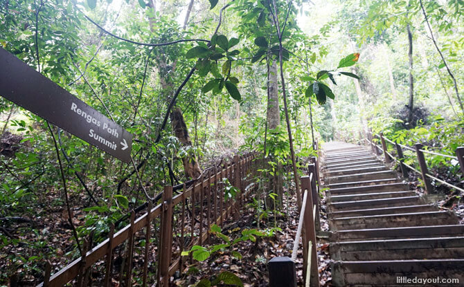 Dairy Farm Loop: Stairway To The Summit Or Devil's Stairs? 7 Rengas Path, Dairy Farm Loop