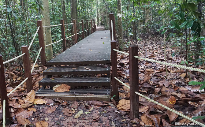 North View Hut Path
