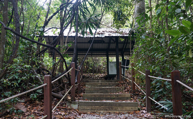 Dairy Farm Loop: Stairway to the Summit 15 Dairy Farm Loop's North View Hut