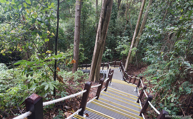 Steep stairs leading to and from the North View Hut, Dairy Farm Loop