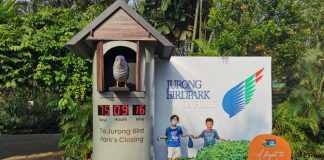 Go On A Flight To Remember At Jurong Bird Park
