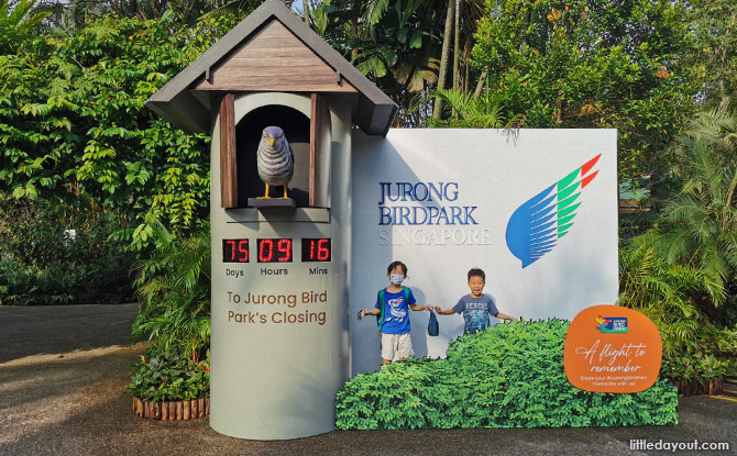 Go On A Flight To Remember At Jurong Bird Park