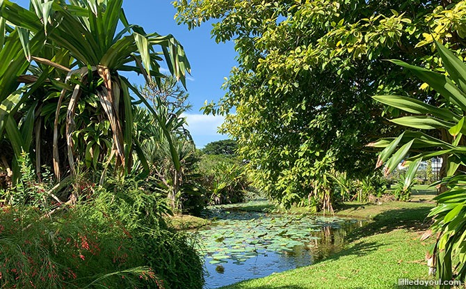 Bay East Garden: Connections With A View