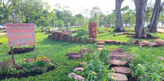 a01-cyclist-park-nature-playgarden