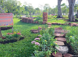 a01-cyclist-park-nature-playgarden