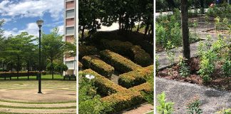 Tampines Maze Garden: 3 Puzzles In The Neighbourhood