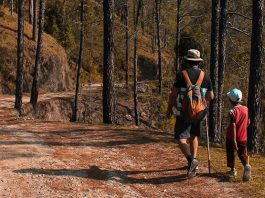 Bite-Sized Parenting: The Dangers of Overparenting