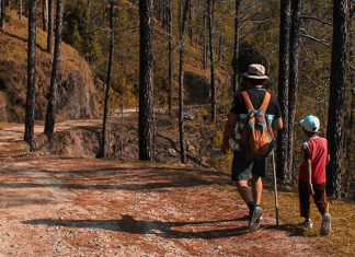 Bite-Sized Parenting: The Dangers of Overparenting Bite-Sized Parenting: The Dangers of Overparenting