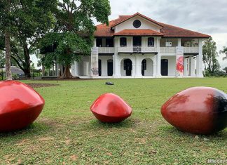 Locations for Family Photoshoots in Singapore