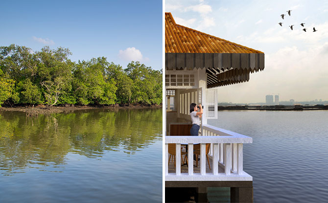 Sungei Buloh Nature Park Network & Lim Chu Kang Nature Park: Strengthening The Habitats Along Singapore’s Northern Coast