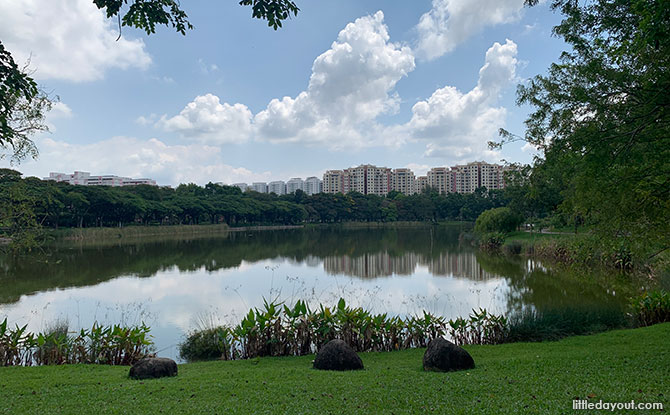 Punggol Park Lake