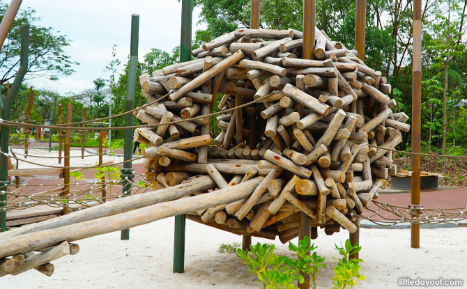 Forest Ramble at Jurong Lake Gardens