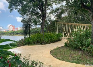 Punggol Park: Quiet Lakeside Getaway