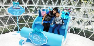 a03-sparkling-wonders-of-christmas-jewel-changi-airport