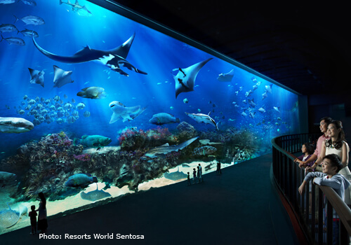 S.E.A. Aquarium, Resorts World Sentosa