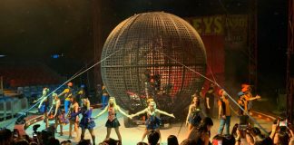 a04-Uncle-Ringo-Carnival