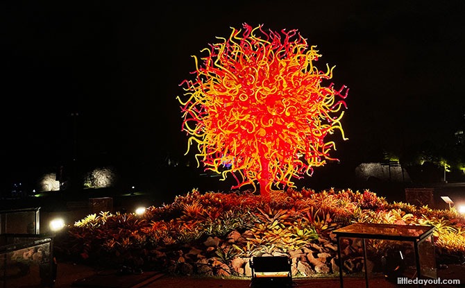 Dale Chihuly: Glass in Bloom