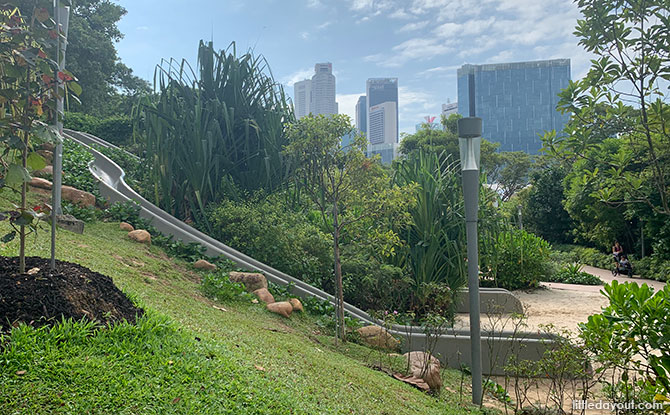 Slides at Jubilee Park