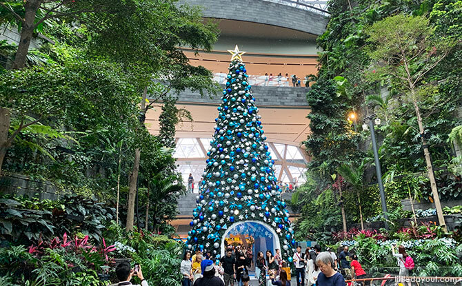 Enter the Shiseido Forest Valley under a 16-metre tall Christmas tree.