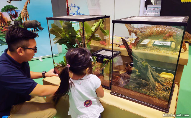 Wildlife Reserves Singapore booth at Early Childhood Conference 2019