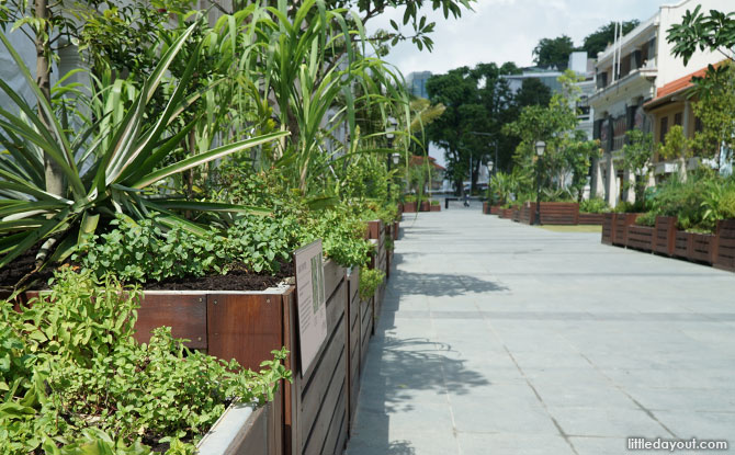 Armenian Street Park