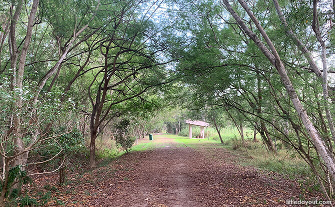 Footpaths at Tampines Eco Green