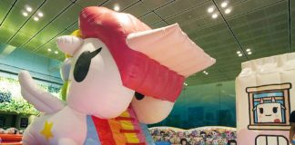 a08-tokidoki-changi-airport