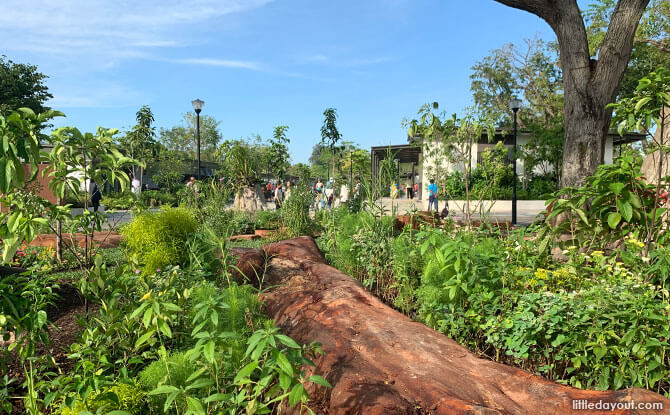 Cyclist Park Nature Playgarden Features