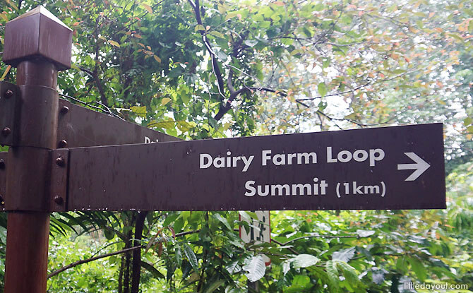 Dairy Farm Loop