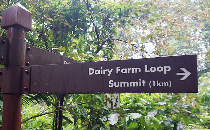 Dairy Farm Loop: Stairway to the Summit Dairy Farm Loop
