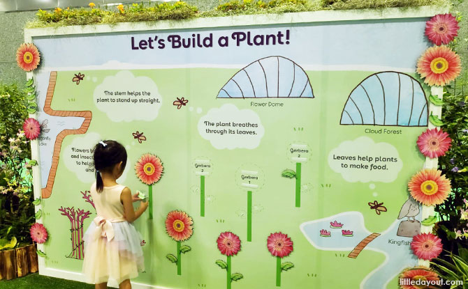 “Let’s Build a Plant” interactive wall