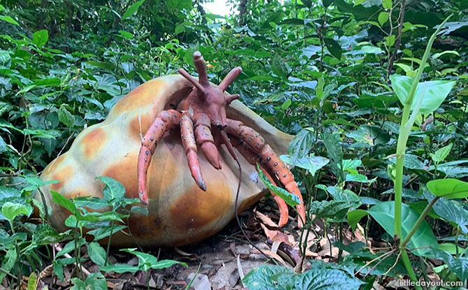 Exploring Sentosa Coastal Trail