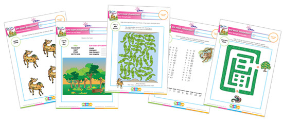 Activity Sheets