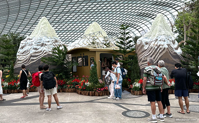 Alpine Adventure Starring Begonias At Gardens By The Bay 2 Welcomed by the Matterhorn