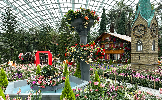 Alpine Adventure Starring Begonias At Gardens By The Bay Alpine Adventure Starring Begonias At Gardens By The Bay