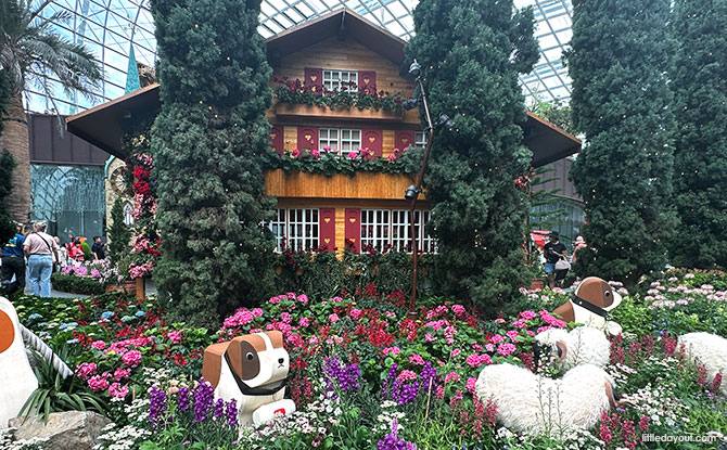 Alpine Adventure Starring Begonias At Gardens By The Bay 3 Begonias at the Flower Field, Gardens by the Bay