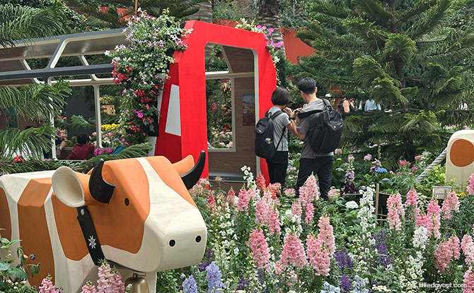 Alpine Adventure Starring Begonias At Gardens By The Bay 5 Glacier Express