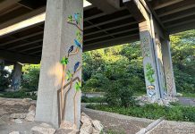 Anak Bukit Viaduct: Bird Murals Along The Rail Corridor Under The Flyover Jalan Anak Bukit Viaduct: Bird Murals Along The Rail Corridor Under The Flyover