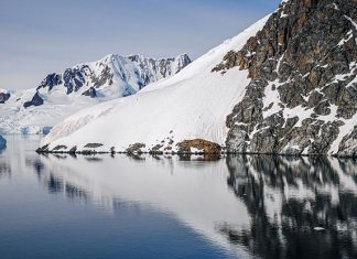 Fun Facts About Antarctica For Kids: Landscape, Animals and History Interesting Facts About Antarctica For Kids: Landscape, Animals and History