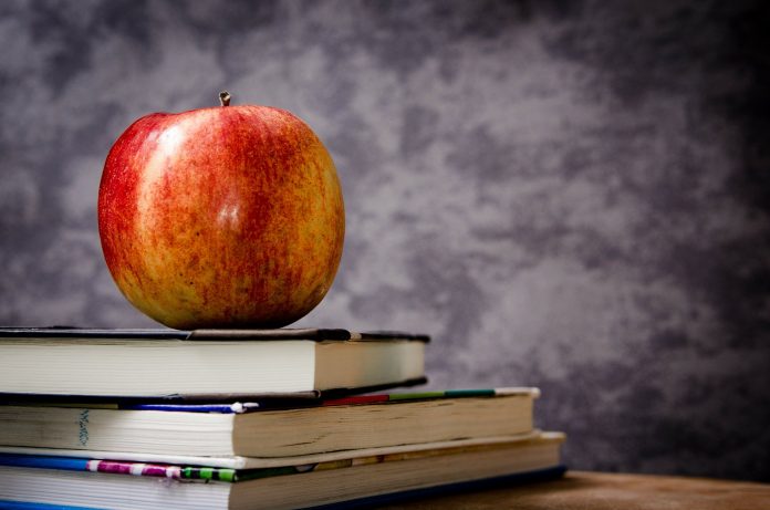 apple-256261_1920 Best Teachers’ Day Gift Guide: 15 Thoughtful Gifts to Make Teachers Smile