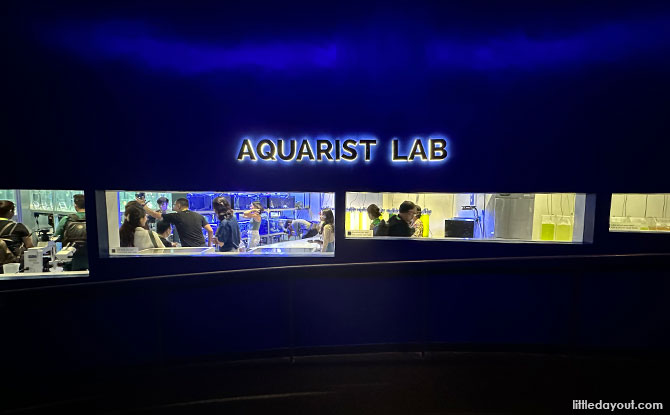 S.E.A. Aquarium's Aquarist Lab