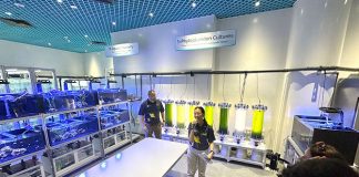 Aquarist Lab: Take A Look Behind-The-Scenes At S.E.A. Aquarium