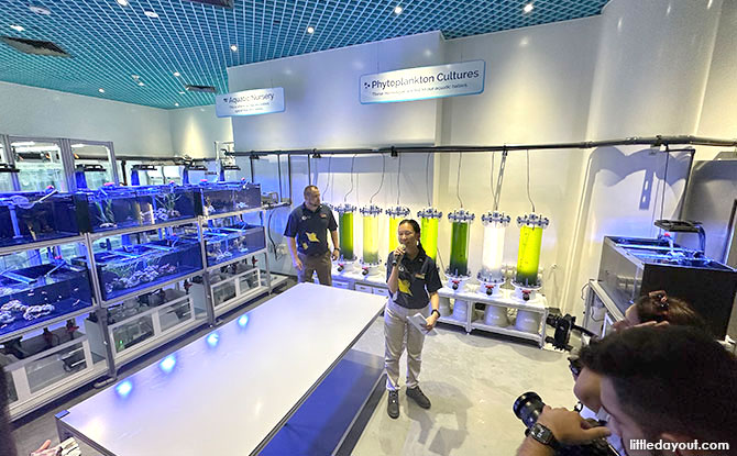 Aquarist Lab: Take A Look Behind-The-Scenes At S.E.A. Aquarium Aquarist Lab: Take A Look Behind-The-Scenes At S.E.A. Aquarium