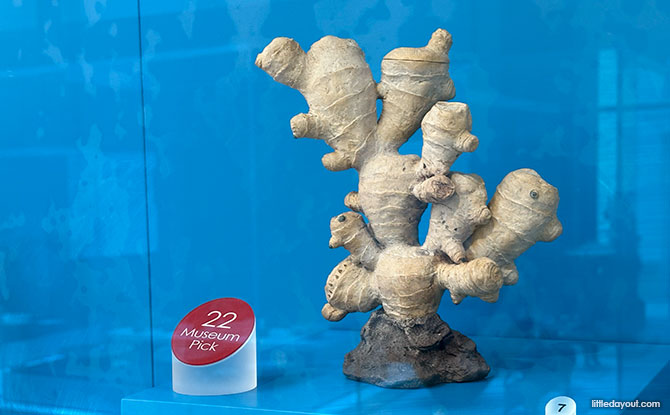 Asian Civilisations Museum: At The Crossroads Of Asia 17 Look out for Museum Picks