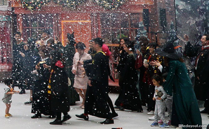 Snow at Changi Airport