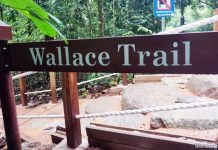 Wallace Trail, Dairy Farm Nature Park